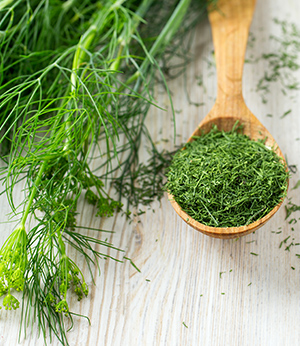 Dill extract