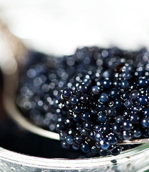 Caviar extract