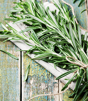 Rosemary extract